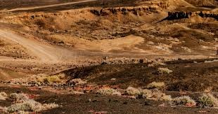 张耀坤：年轻人想踢上中超不易；现在的青训太功利忽略基本功